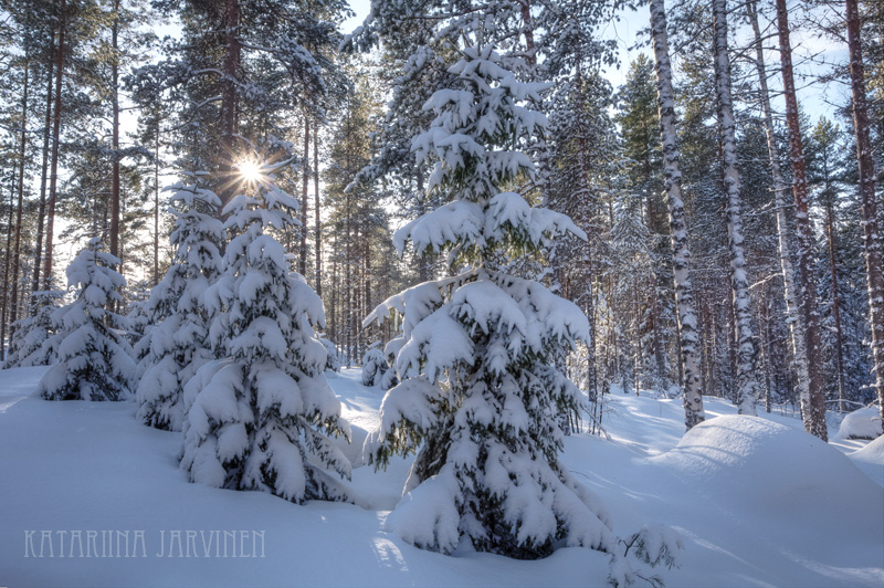 winter snow and sunburst in Finland