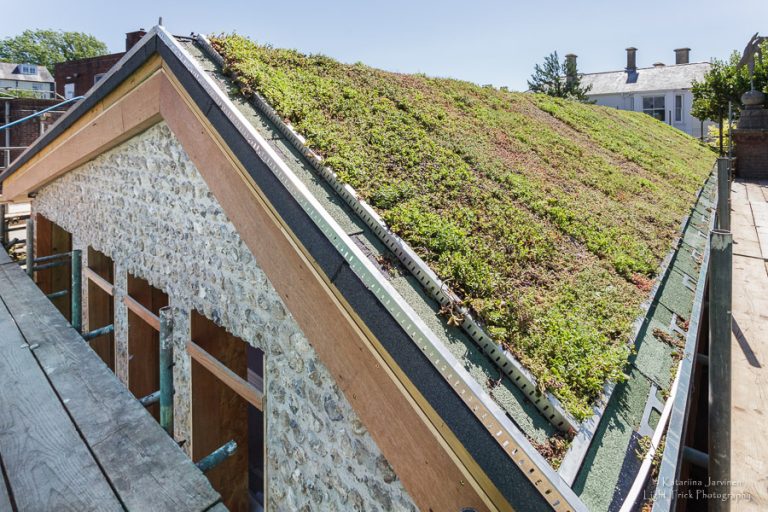 plant roof building
